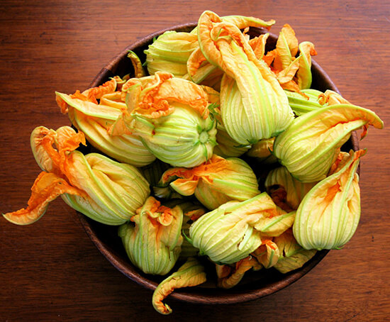 Ever since I learned how to stuff squash blossoms, batter them and fry them, I've looked forward to the summer growing season, which would bring these delicate flowers to market. Seeing squash blossoms was always a treat. // alexandracooks.com Ever since I learned how to stuff squash blossoms, batter them and fry them, I've looked forward to the summer growing season, which would bring these delicate flowers to market. Seeing squash blossoms was always a treat. // alexandracooks.com