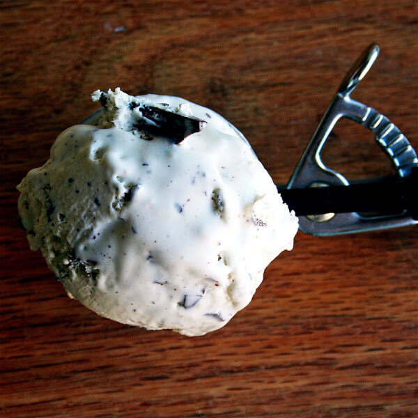 What do you get when you combine heavy cream, half and half, egg yolks, sugar, fresh mint and dark chocolate? Absolute, pure, utter and complete deliciousness. I don't know what else to say about this mint chocolate chip ice cream except that it is one of the best things I have ever tasted. Ever. Seriously. // alexandracooks.com What do you get when you combine heavy cream, half and half, egg yolks, sugar, fresh mint and dark chocolate? Absolute, pure, utter and complete deliciousness. I don't know what else to say about this mint chocolate chip ice cream except that it is one of the best things I have ever tasted. Ever. Seriously. // alexandracooks.com