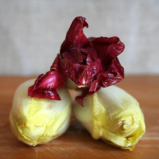 endive endive
