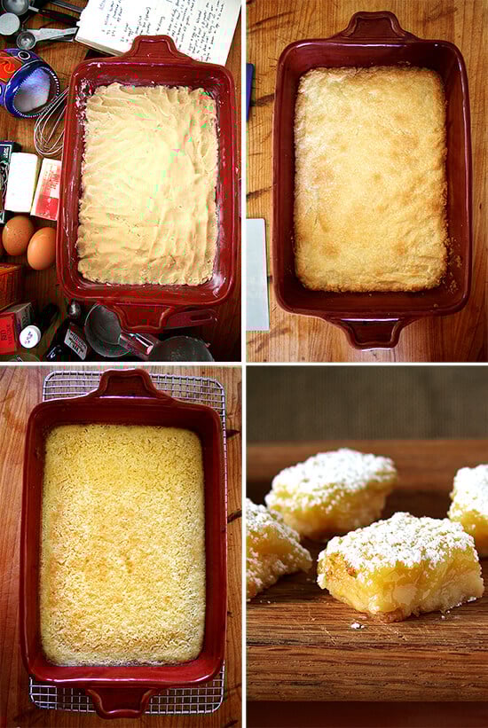 lemon bar evolution lemon bar evolution