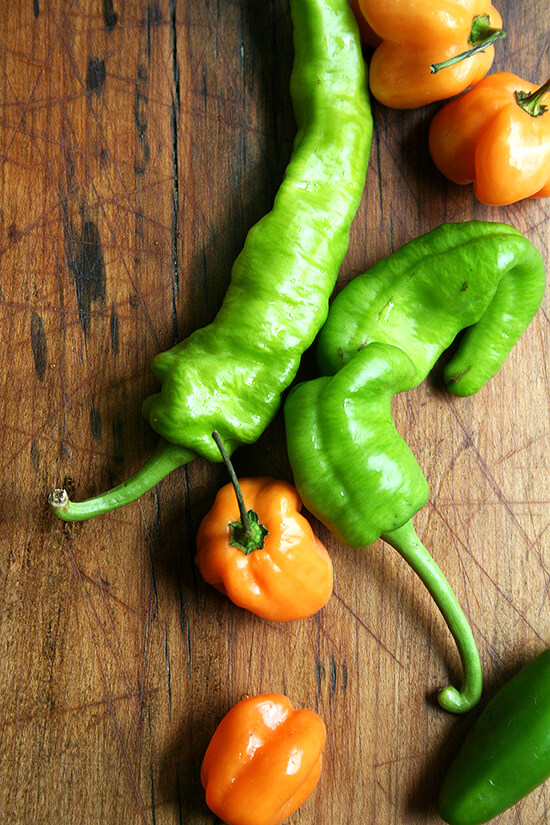 peppers from our CSA peppers from our CSA