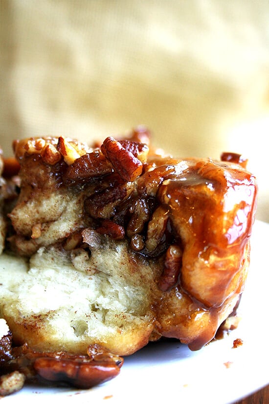 cinnamon rolls cinnamon rolls