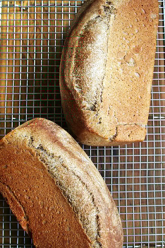 Do you have people coming to visit anytime soon? Would you like them to feel super welcomed? Try these four recipes for guests: vanilla-almond biscotti, coconut almond granola, salted oatmeal cookies and honey whole wheat bread. Your guests might never leave. // alexandracooks.com Do you have people coming to visit anytime soon? Would you like them to feel super welcomed? Try these four recipes for guests: vanilla-almond biscotti, coconut almond granola, salted oatmeal cookies and honey whole wheat bread. Your guests might never leave. // alexandracooks.com