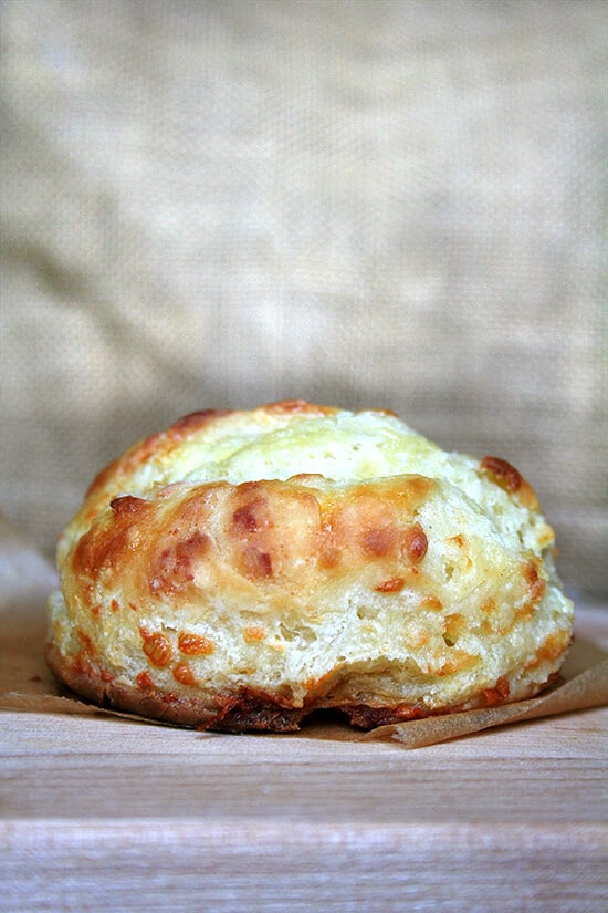 Tender and flaky, these buttermilk cheddar biscuits are the perfect vessel for housing slices of ham or turkey or roast beef, handfuls of arugula, and a slathering of mustard sauce, a must-have recipe if you're making ham this holiday season. // alexandracooks.com Tender and flaky, these buttermilk cheddar biscuits are the perfect vessel for housing slices of ham or turkey or roast beef, handfuls of arugula, and a slathering of mustard sauce, a must-have recipe if you're making ham this holiday season. // alexandracooks.com