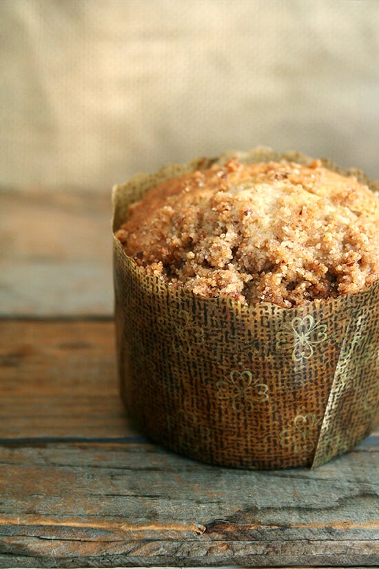 These Cooks Illustrated coffeecake muffins, made with a cinnamon-pecan-brown sugar streusel mixed into a sour cream batter, capture the spirit of breakfast treat. // alexandracooks.com A coffeecake muffin in a decorative paper liner.