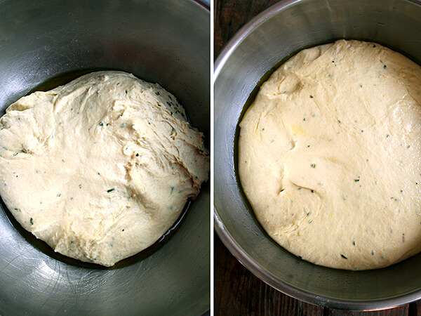 dough, just mixed (left) and risen (right) dough, just mixed (left) and risen (right)