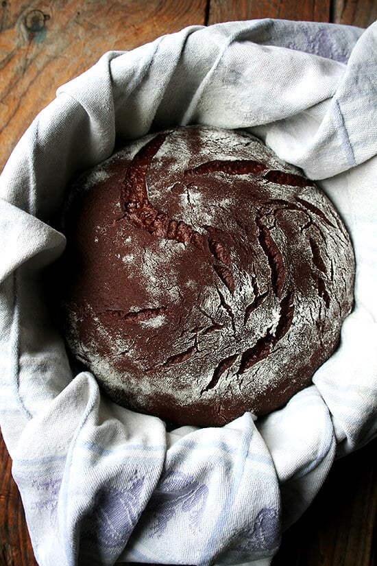 chocolate bread, rising chocolate bread, rising