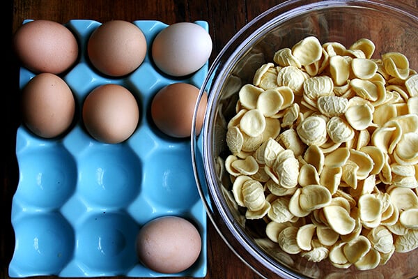orecchiette and eggs orecchiette and eggs