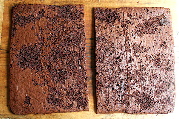 cookie cut in half cookie cut in half