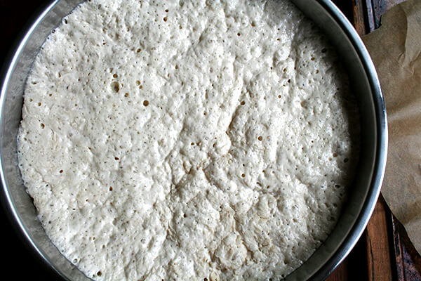 Lahey no-knead pizza dough, risen Lahey no-knead pizza dough, risen