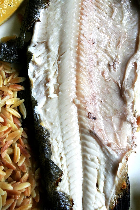 trout meat trout meat