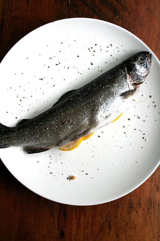 whole trout whole trout