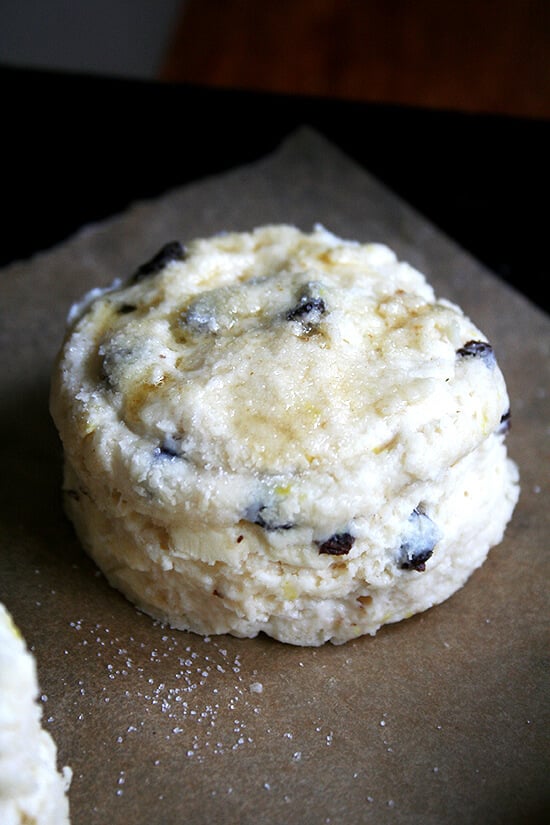 unbaked scone unbaked scone