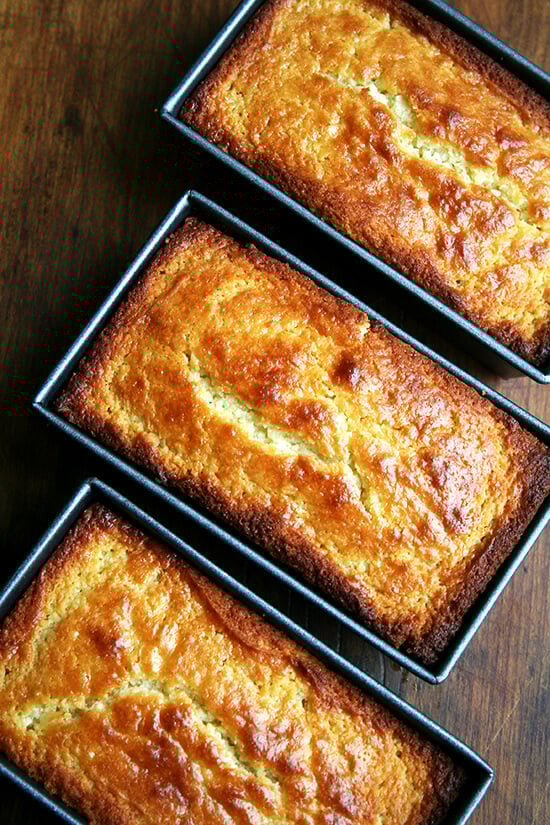 Three loaves of lemon-ricotta pound cake, just baked and cooling on a board.