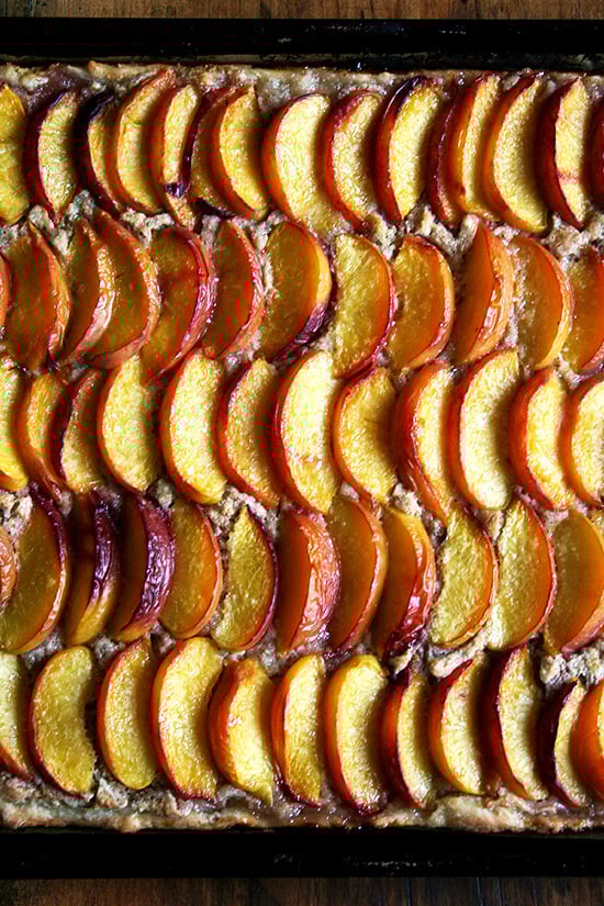 For this peach frangipane tart, my favorite galette dough is used for a sheet-pan tart. After smearing the whole batch of frangipane over its surface and arranging half a dozen sliced peaches over top, the fruit is brushed with melted butter and sprinkled with sugar. Forty minutes later, the tart emerges from the oven, slices of fruit glistening, frangipane bubbling through the crevices. // alexandracooks.com For this peach frangipane tart, my favorite galette dough is used for a sheet-pan tart. After smearing the whole batch of frangipane over its surface and arranging half a dozen sliced peaches over top, the fruit is brushed with melted butter and sprinkled with sugar. Forty minutes later, the tart emerges from the oven, slices of fruit glistening, frangipane bubbling through the crevices. // alexandracooks.com