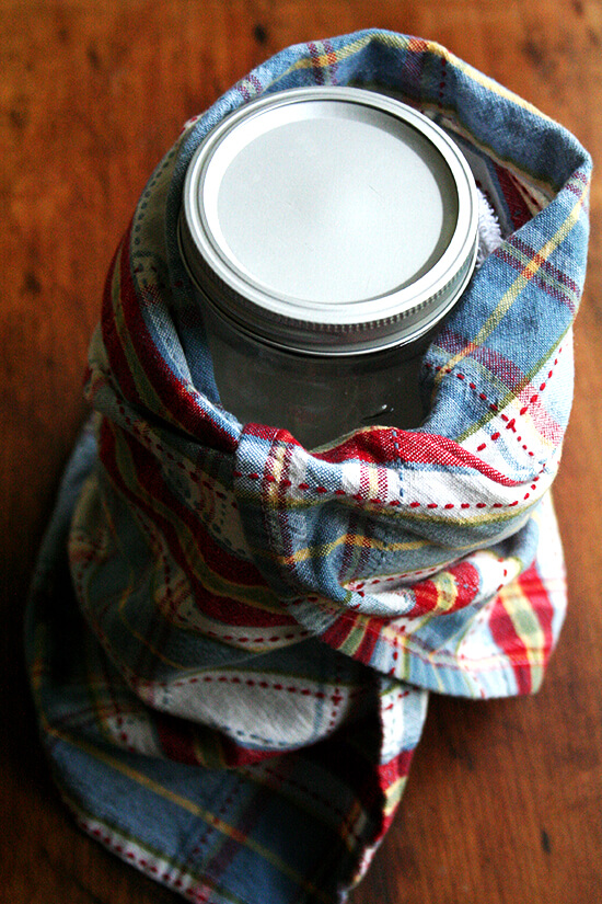 Making yogurt at home is incredibly rewarding, easy and cost effective. It also happens to be delicious. If you're into homemade dairy adventures, homemade yogurt should be next on your list! // alexandracooks.com Making yogurt at home is incredibly rewarding, easy and cost effective. It also happens to be delicious. If you're into homemade dairy adventures, homemade yogurt should be next on your list! // alexandracooks.com