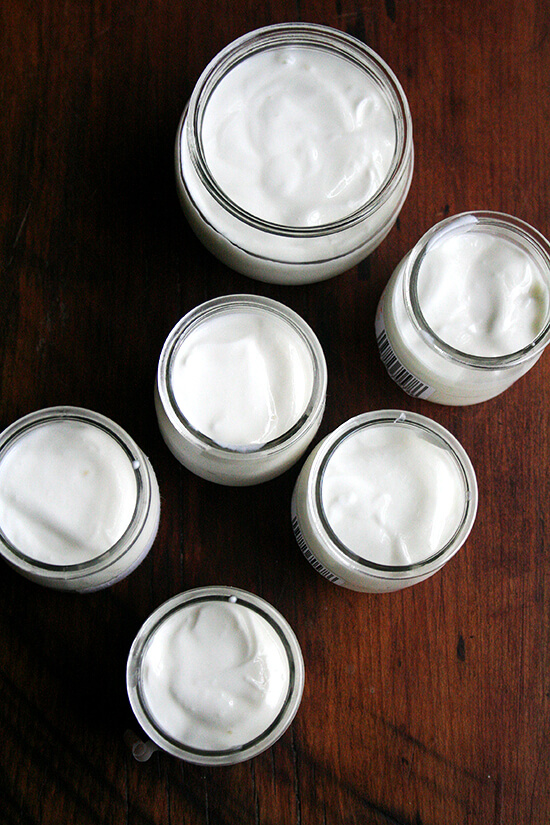 Making yogurt at home is incredibly rewarding, easy and cost effective. It also happens to be delicious. If you're into homemade dairy adventures, homemade yogurt should be next on your list! // alexandracooks.com Making yogurt at home is incredibly rewarding, easy and cost effective. It also happens to be delicious. If you're into homemade dairy adventures, homemade yogurt should be next on your list! // alexandracooks.com