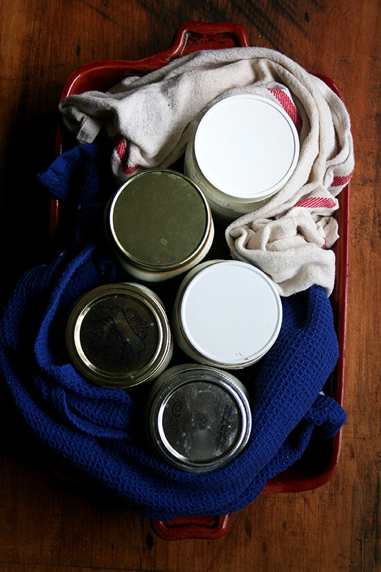 Making yogurt at home is incredibly rewarding, easy and cost effective. It also happens to be delicious. If you're into homemade dairy adventures, homemade yogurt should be next on your list! // alexandracooks.com Making yogurt at home is incredibly rewarding, easy and cost effective. It also happens to be delicious. If you're into homemade dairy adventures, homemade yogurt should be next on your list! // alexandracooks.com
