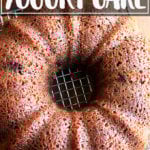 Just-baked applesauce-yogurt cake.