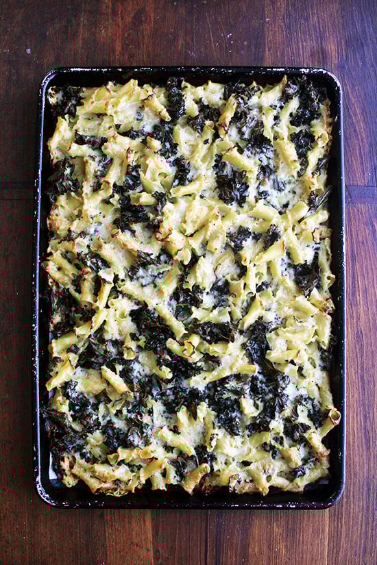 Baked pasta gratin on a sheet pan maximizes the crispness effect. The ratio of crunchy topping to creamy center increases, making sure there's plenty of the best part of the gratin for every one. // alexandracooks.com An overhead shot of just-baked pasta gratin with kale on a sheet pan.