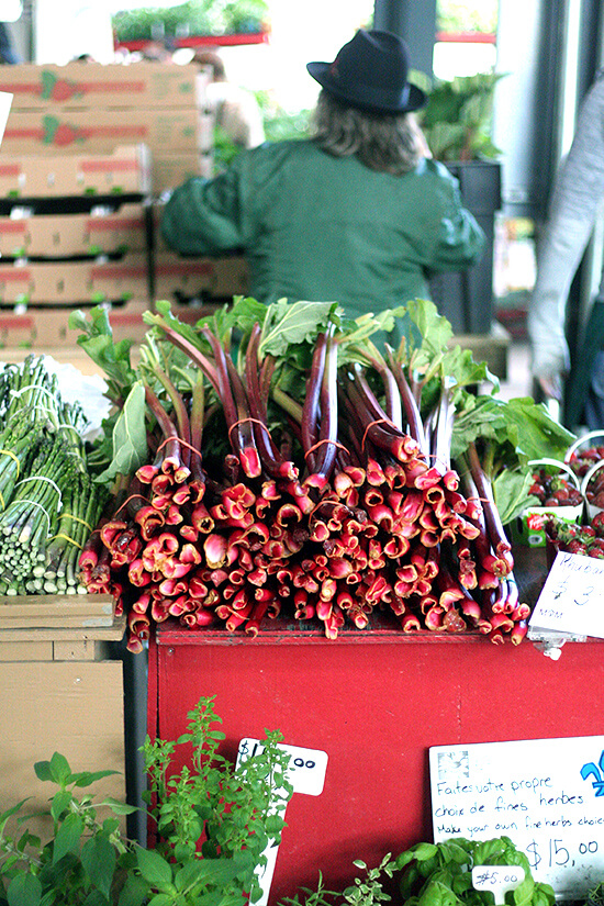 rhubarb at Jean Talon