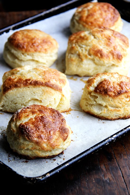 I always forget how easy butter milk biscuits are — one bowl wonders, ready in a snap! With soup and stew season upon us, this biscuit recipe, with maple and sea salt, is a good one to have on hand. // alexandracooks.com I always forget how easy butter milk biscuits are — one bowl wonders, ready in a snap! With soup and stew season upon us, this biscuit recipe, with maple and sea salt, is a good one to have on hand. // alexandracooks.com
