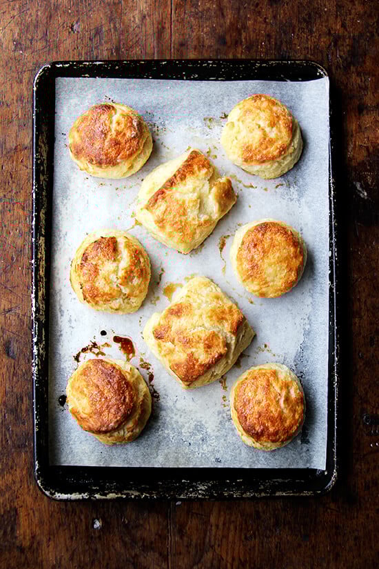 I always forget how easy butter milk biscuits are — one bowl wonders, ready in a snap! With soup and stew season upon us, this biscuit recipe, with maple and sea salt, is a good one to have on hand. // alexandracooks.com I always forget how easy butter milk biscuits are — one bowl wonders, ready in a snap! With soup and stew season upon us, this biscuit recipe, with maple and sea salt, is a good one to have on hand. // alexandracooks.com