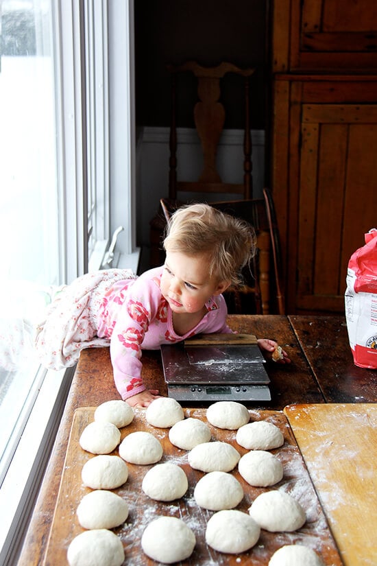 My kitchen helper, Wren.