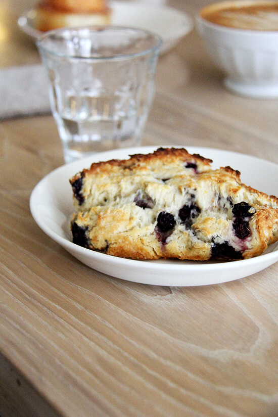 blueberry scone