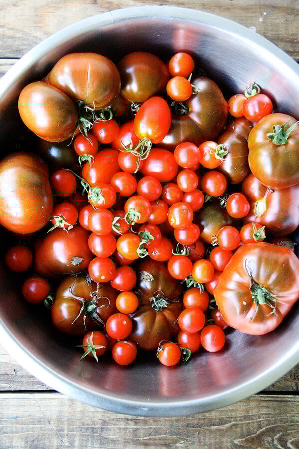 A bowl just-picked tomatoes.