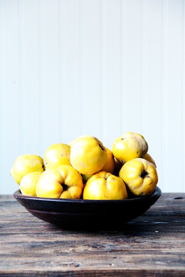 If I were to host Thanksgiving, I would serve a few of these dishes, including butternut squash lasagna, potato gratin, no-knead thyme dinner rolls, red wine cranberry sauce, and sheetpan stuffing. Yum. // alexandracooks.com If I were to host Thanksgiving, I would serve a few of these dishes, including butternut squash lasagna, potato gratin, no-knead thyme dinner rolls, red wine cranberry sauce, and sheetpan stuffing. Yum. // alexandracooks.com