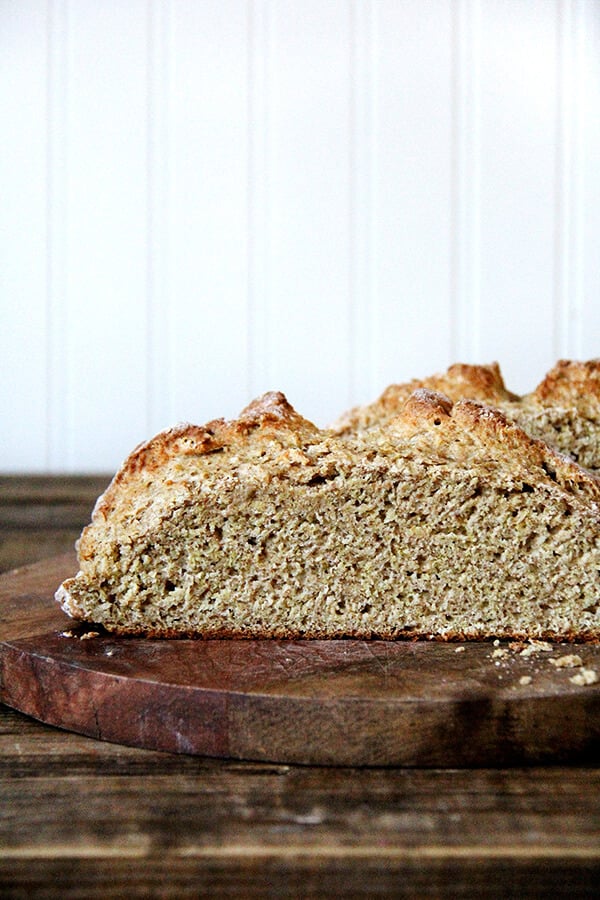 A crumb shot of whole wheat Irish soda bread.