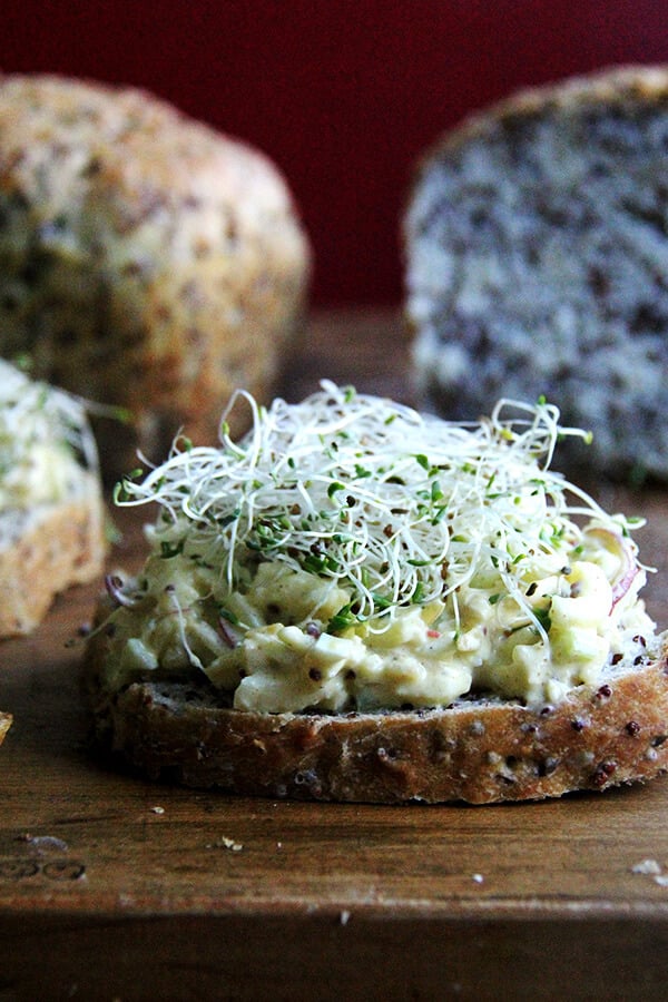 I love the addition of grapes, apples, nuts, and dried fruit in this curried apple and egg salad — bits of crunch punctuating the creaminess, sweet counterpoints to the tangy dressings. The lemony dressing is made with Greek yogurt and grainy mustard, and although there is no mayonnaise, the salad does not suffer. It's light, fresh, and completely satisfying. // alexandracooks.com I love the addition of grapes, apples, nuts, and dried fruit in this curried apple and egg salad — bits of crunch punctuating the creaminess, sweet counterpoints to the tangy dressings. The lemony dressing is made with Greek yogurt and grainy mustard, and although there is no mayonnaise, the salad does not suffer. It's light, fresh, and completely satisfying. // alexandracooks.com