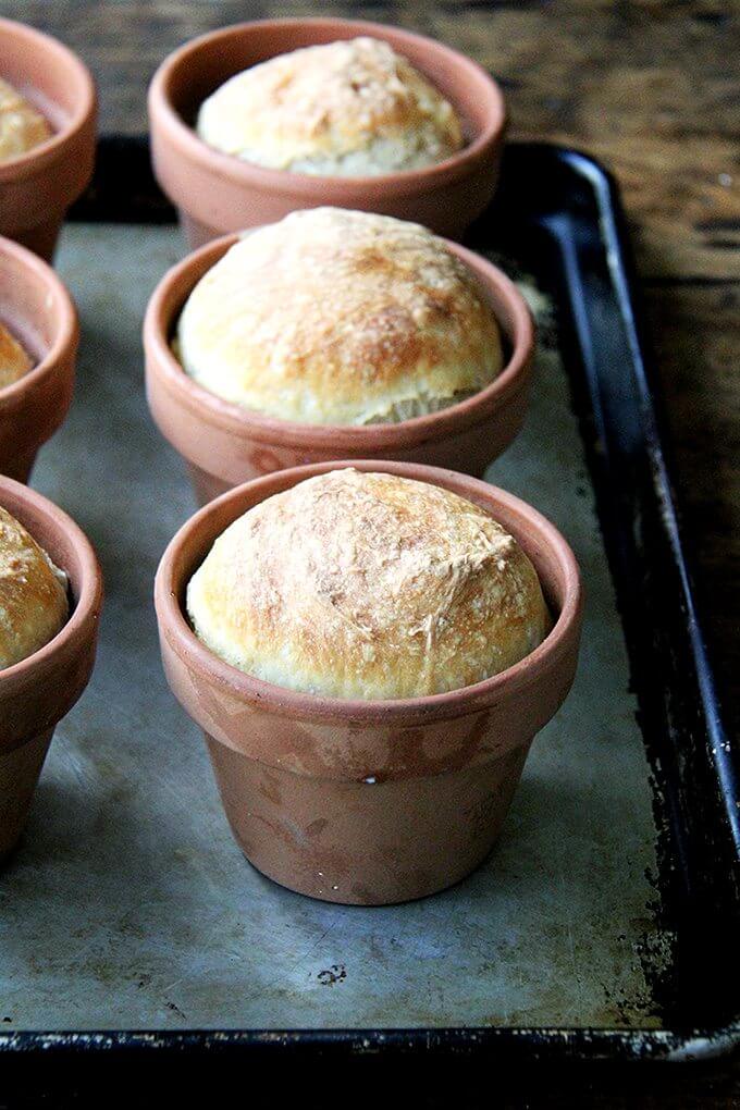 Bread baked in a flowerpot. Brushed with butter, sprinkled with sea salt, does anything say, "I love you Mom!" more than this flower pot bread? // alexandracooks.com Bread baked in a flowerpot. Brushed with butter, sprinkled with sea salt, does anything say, "I love you Mom!" more than this flower pot bread? // alexandracooks.com