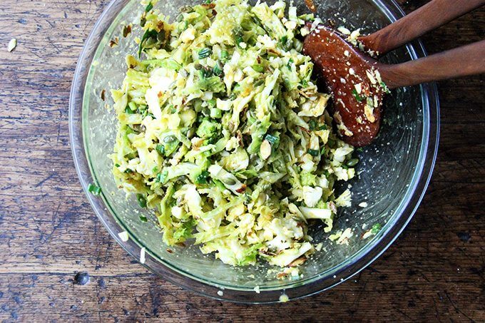 Cabbage salad with miso-carrot dressing all tossed together in a large bowl.