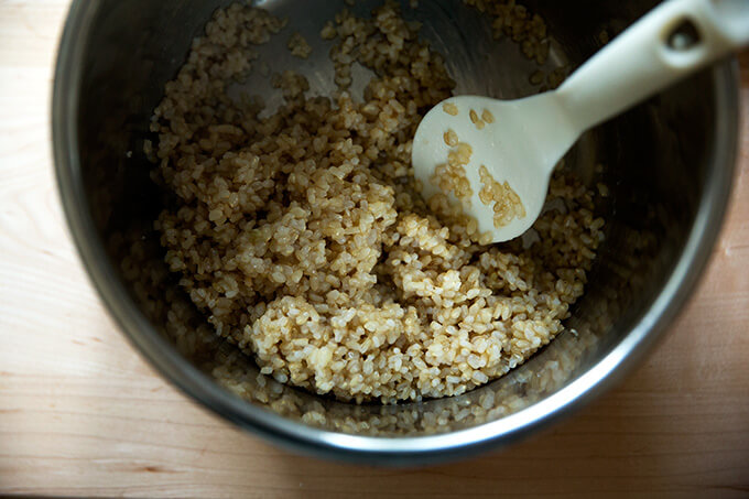 Just-cooked Instant Pot brown rice.