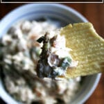 A bowl of real sour cream and onion dip with a Ruffle potato chip.