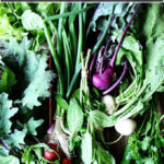 A table full of CSA vegetables.