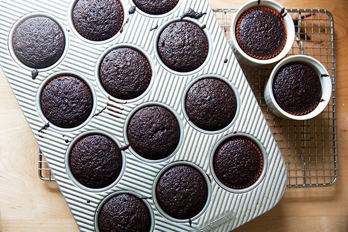 On overhead shot of just-baked chocolate cupcakes.