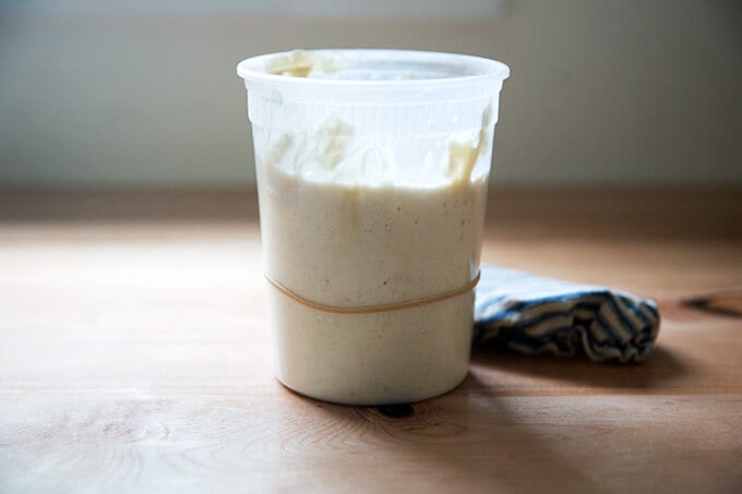 Sourdough starer, doubled. 