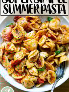 A bowl of pasta tossed with cherry tomato sauce, pine nuts, basil and mozzarella.