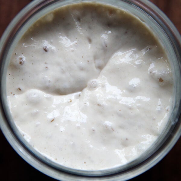 An overhead shot of a sourdough starter.