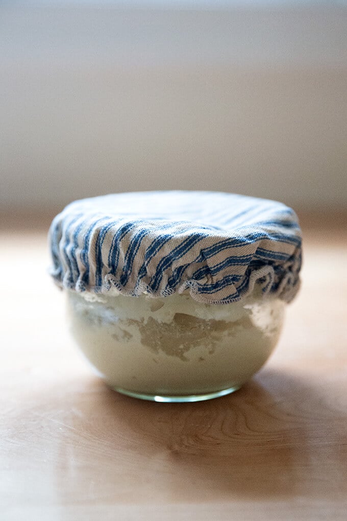 A jar of sourdough starter covered with a breathable lid.