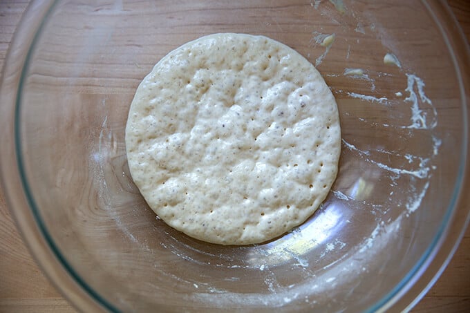 Sponge after three hours.