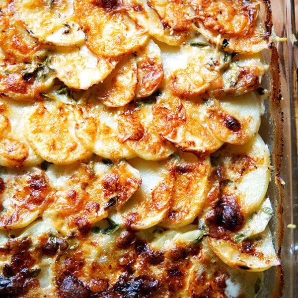 Just-baked potato gratin in its baking dish.
