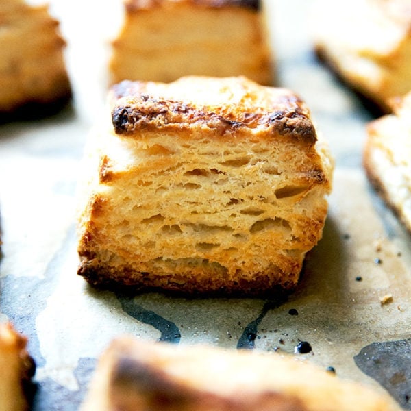 Just baked buttermilk biscuits on a sheet pan.