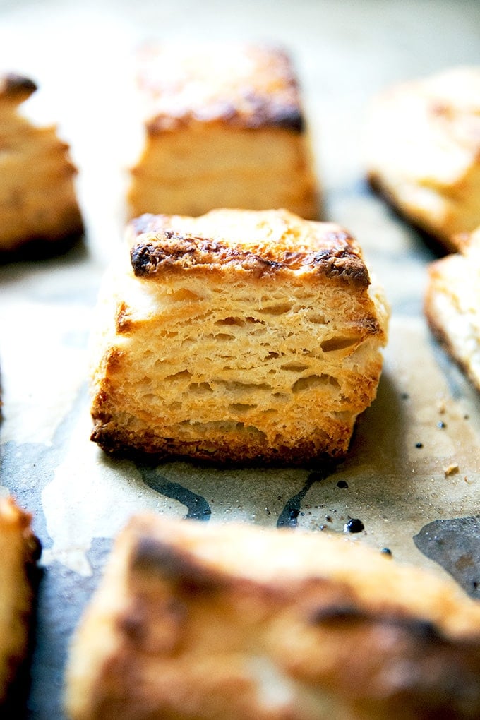 Just baked buttermilk biscuits on a sheet pan.
