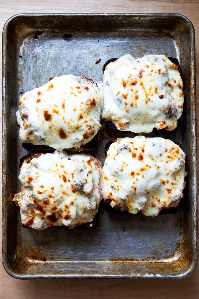 Artichoke-tuna melt. 