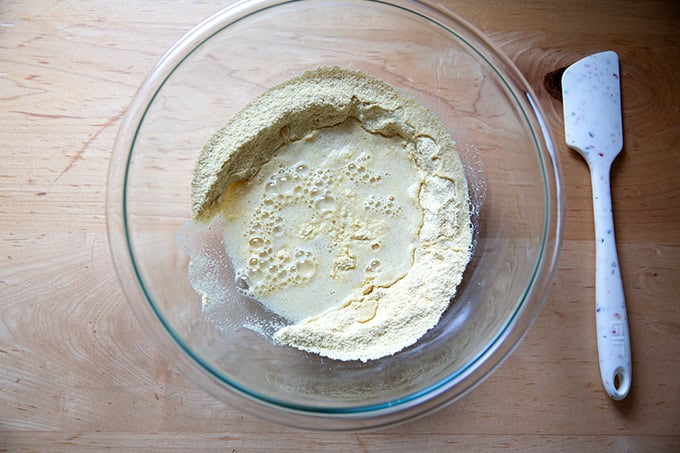 A bowl of masa harina, salt, and water, not yet mixed.