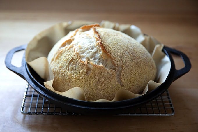 Jim Lahey's no-knead bread after a 30 covered bake in a Dutch oven.
